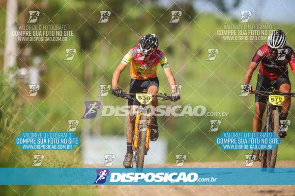 Foto 6177416
