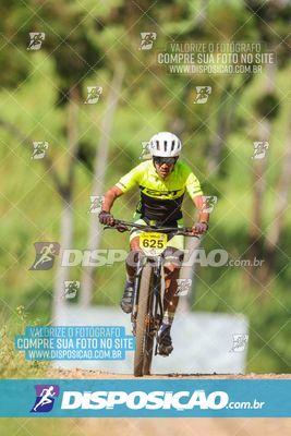 Foto 6177371