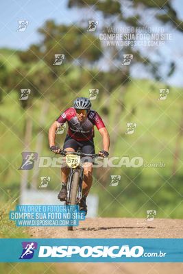 Foto 6177310