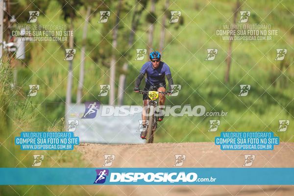 Foto 6177219