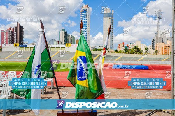Foto 6220911