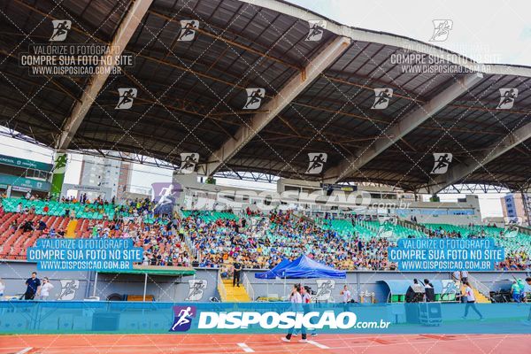 Foto 6220971