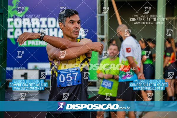 Foto 6247630