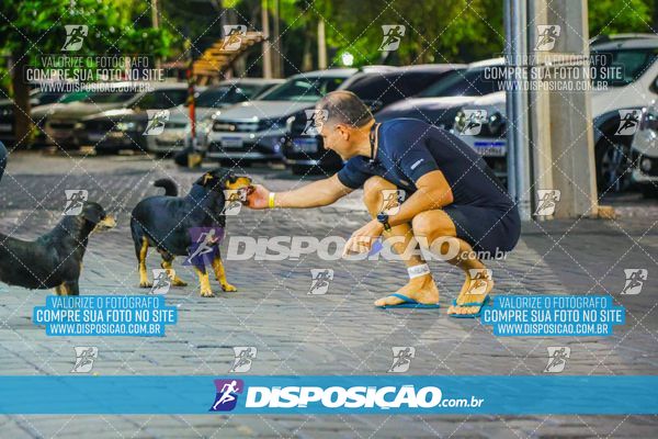 Foto 6380810
