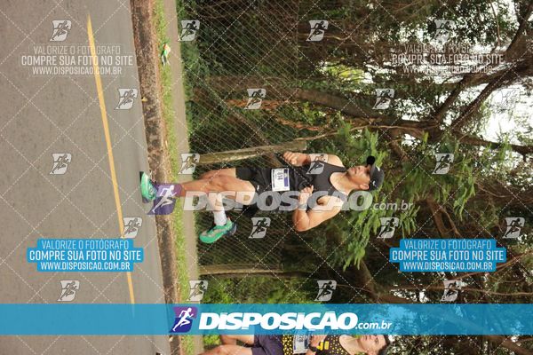 Foto 6376189