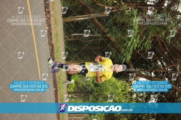 Foto 6376194