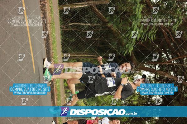 Foto 6376197