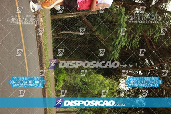 Foto 6376198