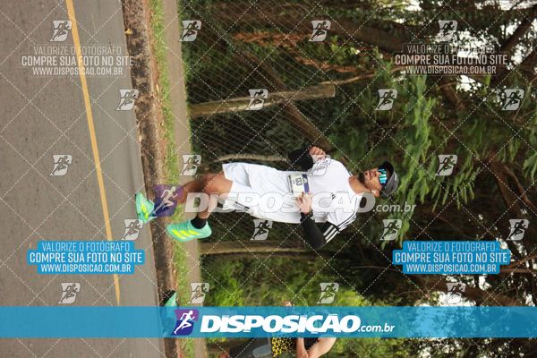 Foto 6376199