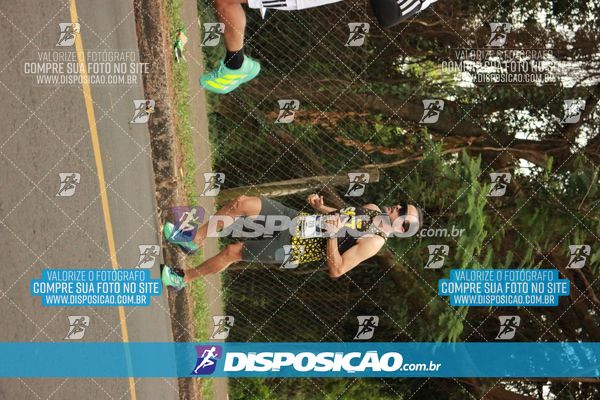 Foto 6376201
