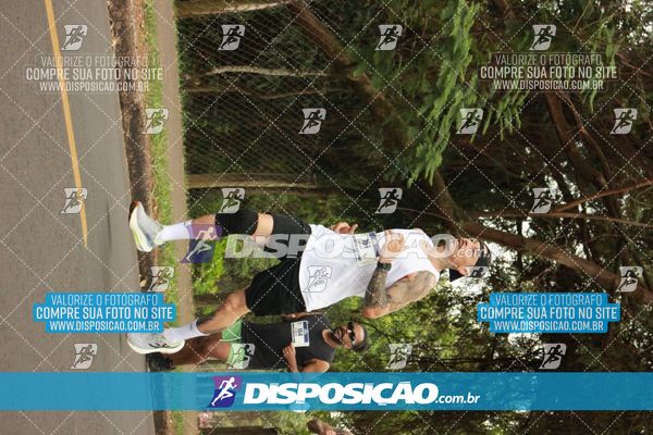 Foto 6376200