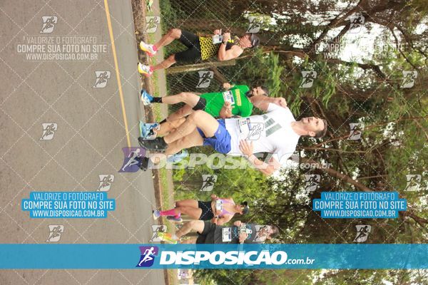 Foto 6376756