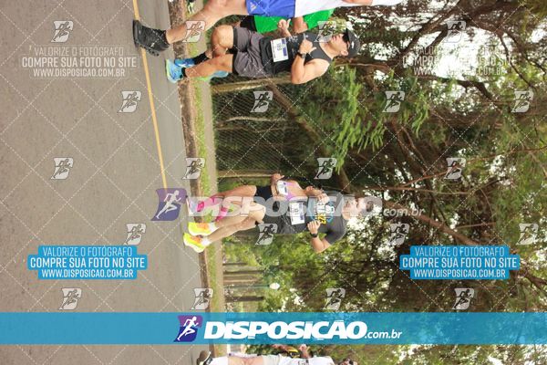 Foto 6376755