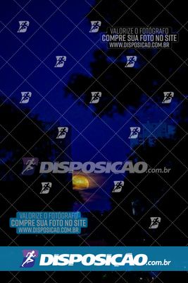 Foto 6439644