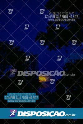 Foto 6439896