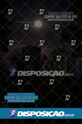 Foto 6440249