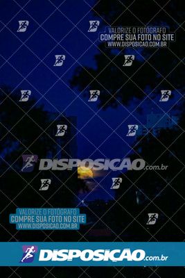 Foto 6441069