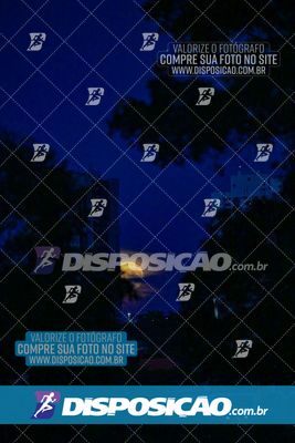 Foto 6441633