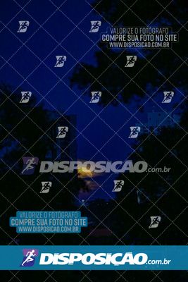 Foto 6442046
