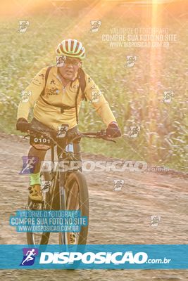 Rota das Catedrais 2026