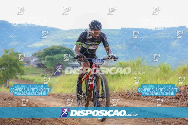Foto 6469330