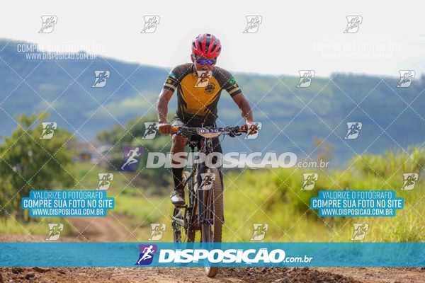 Foto 6469257
