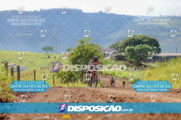 Foto 6469253