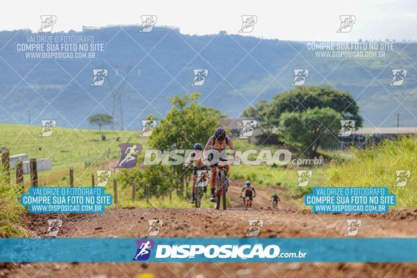 Foto 6469252