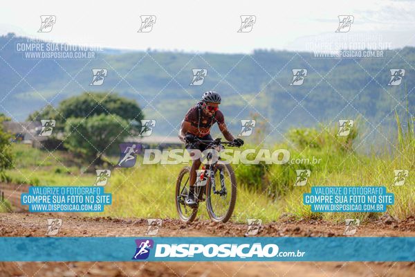 Foto 6469228