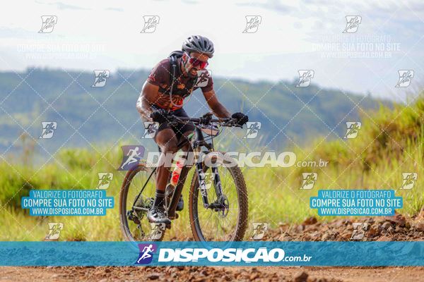 Foto 6469224