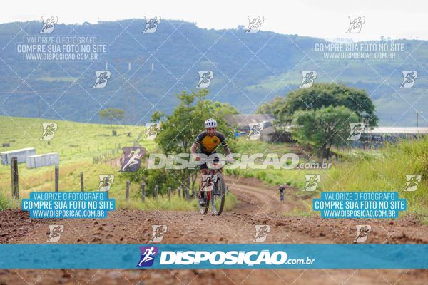 Foto 6469201