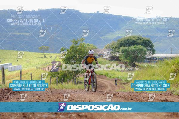 Foto 6469199