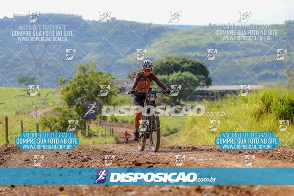 Foto 6469103
