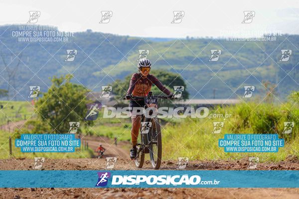 Foto 6469098