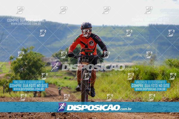 Foto 6469086
