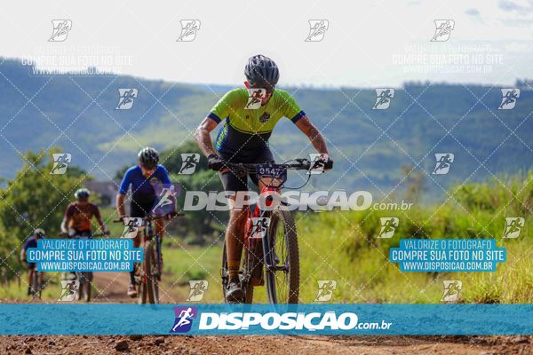 Foto 6469069