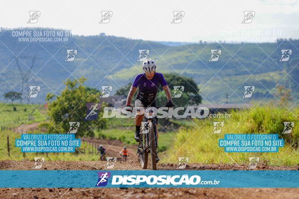 Foto 6469048