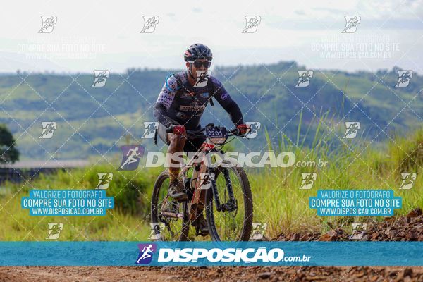 Foto 6469025