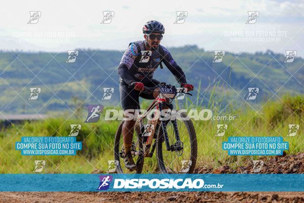 Foto 6469019