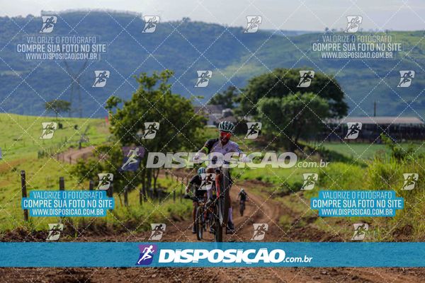 Foto 6468995