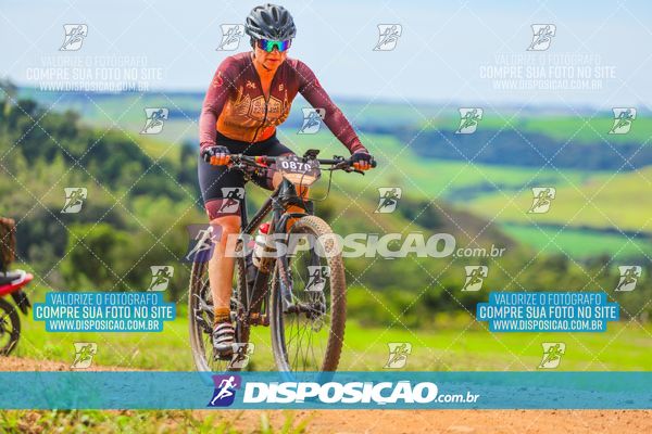 Foto 6525996