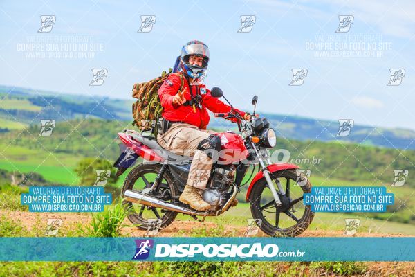 Foto 6526001