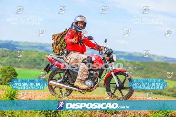 Foto 6526003