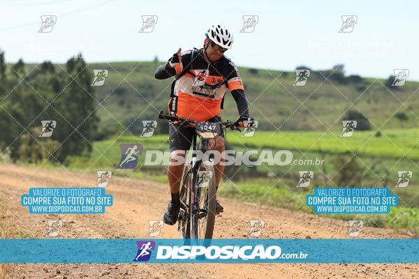 Foto 6519320