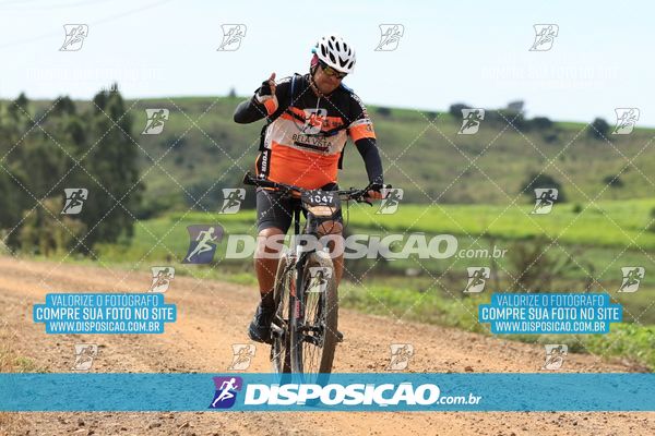 Foto 6519322