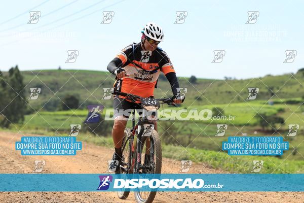 Foto 6519317