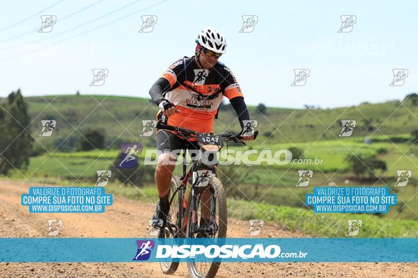 Foto 6519324