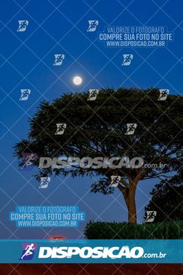 Foto 6476769