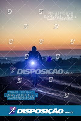 Foto 6463204
