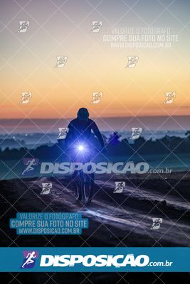 Foto 6463208